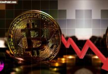 Why is the cryptocurrency market going down in 2024? Why is the cryptocurrency market going down?